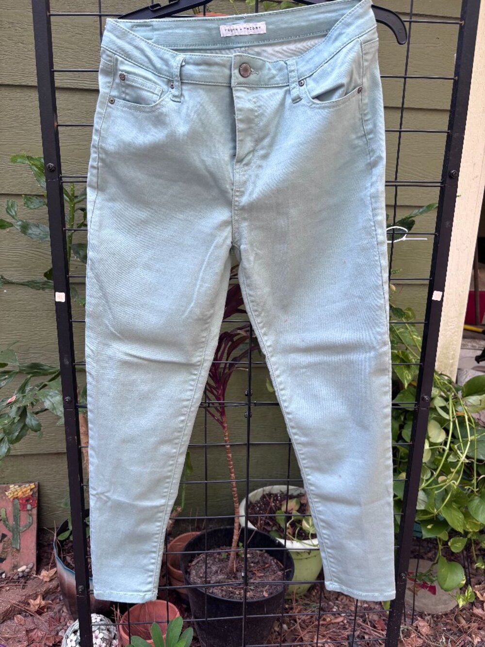 Truth & Theory Ladies 12 Jeans